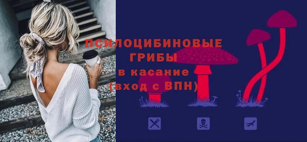 стаф Арсеньев