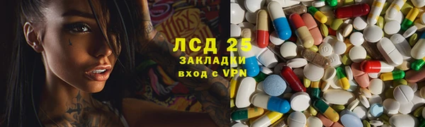 стаф Арсеньев