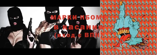стаф Арсеньев