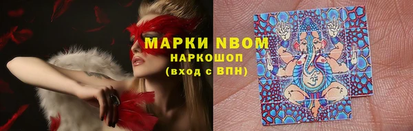 стаф Арсеньев
