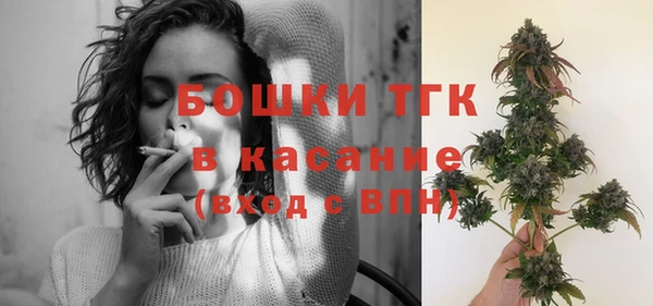 стаф Арсеньев