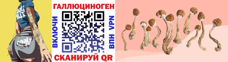 Галлюциногенные грибы мухоморы  мега tor  маркетплейс официальный сайт  Воронеж 